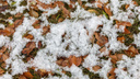 В Волгограде неожиданно для синоптиков выпал первый снег