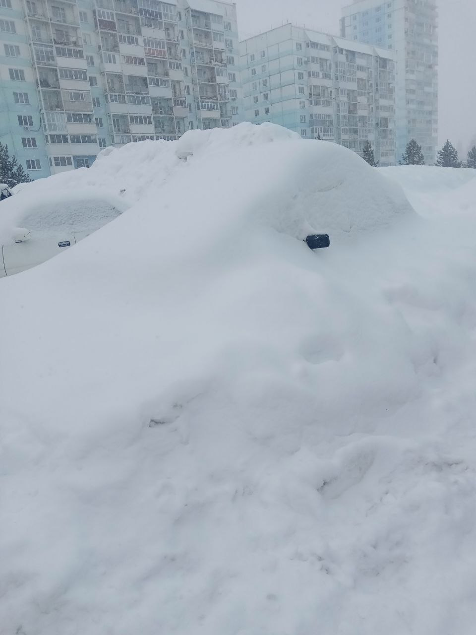 На Потылицына автомобиль полностью завалило снегом На Потылицына автомобиль полностью завалило снегом