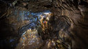 Пермские ученые полностью изучили пещеру Дивья на севере Прикамья, которую исследовали с 1770 года