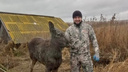 Просидел два дня в яме: в Самарской области охотники спасли лосенка