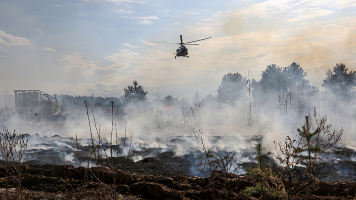 Около 100 млн рублей необходимо на тушение лесных пожаров в Нижегородской области