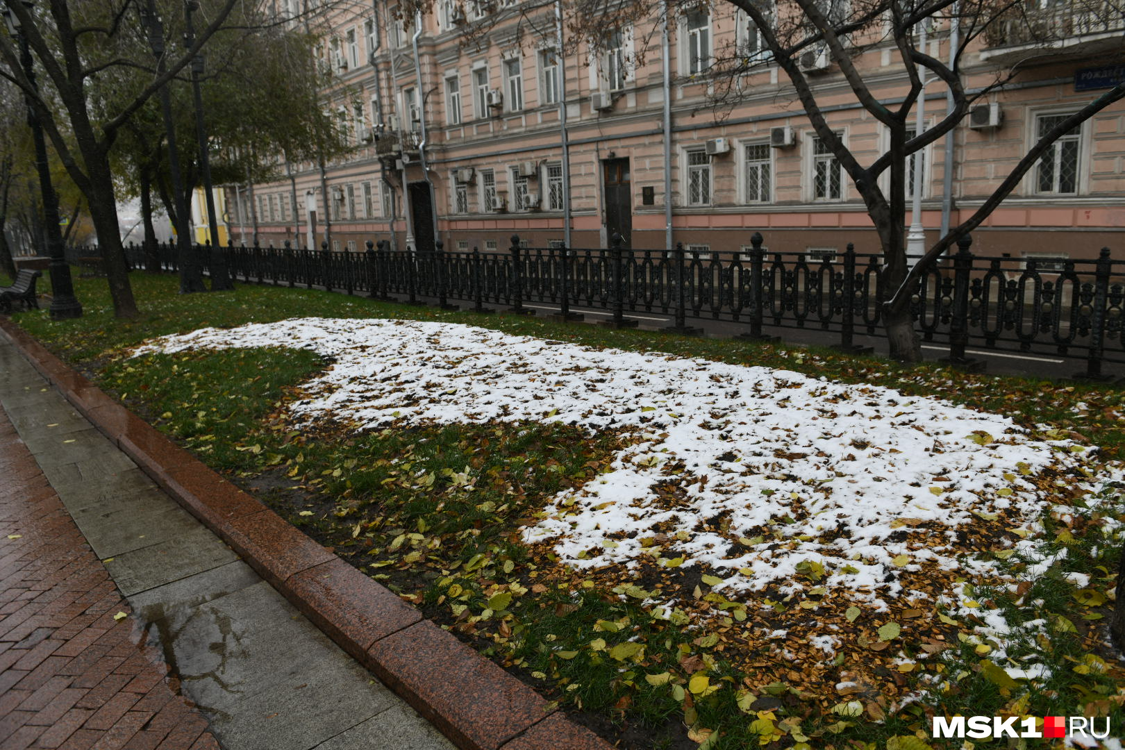 Первый снег москва