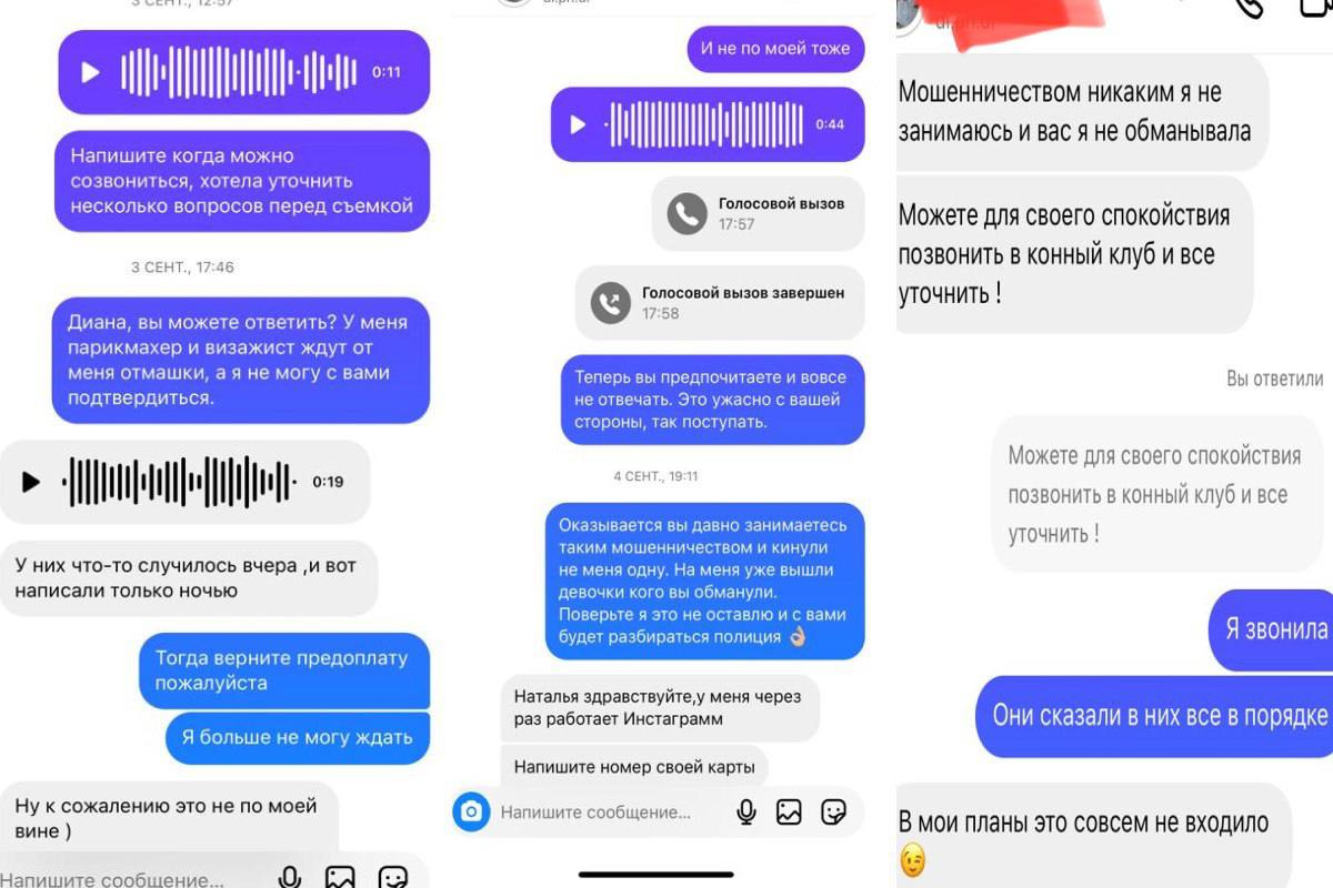 Что в итоге случилось с лошадью — непонятно Что в итоге случилось с лошадью — непонятно