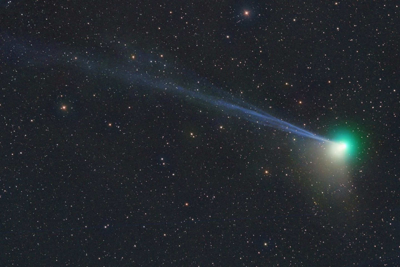Редкая комета пролетит в небе над Ростовской областью: когда и как ее  увидеть 24 января 2023 года - 24 января 2023 - 161.ru
