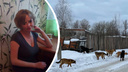Стая псов загрызла жительницу Переславля. Хозяева своры выдвинули свою версию: «Она их спровоцировала!»