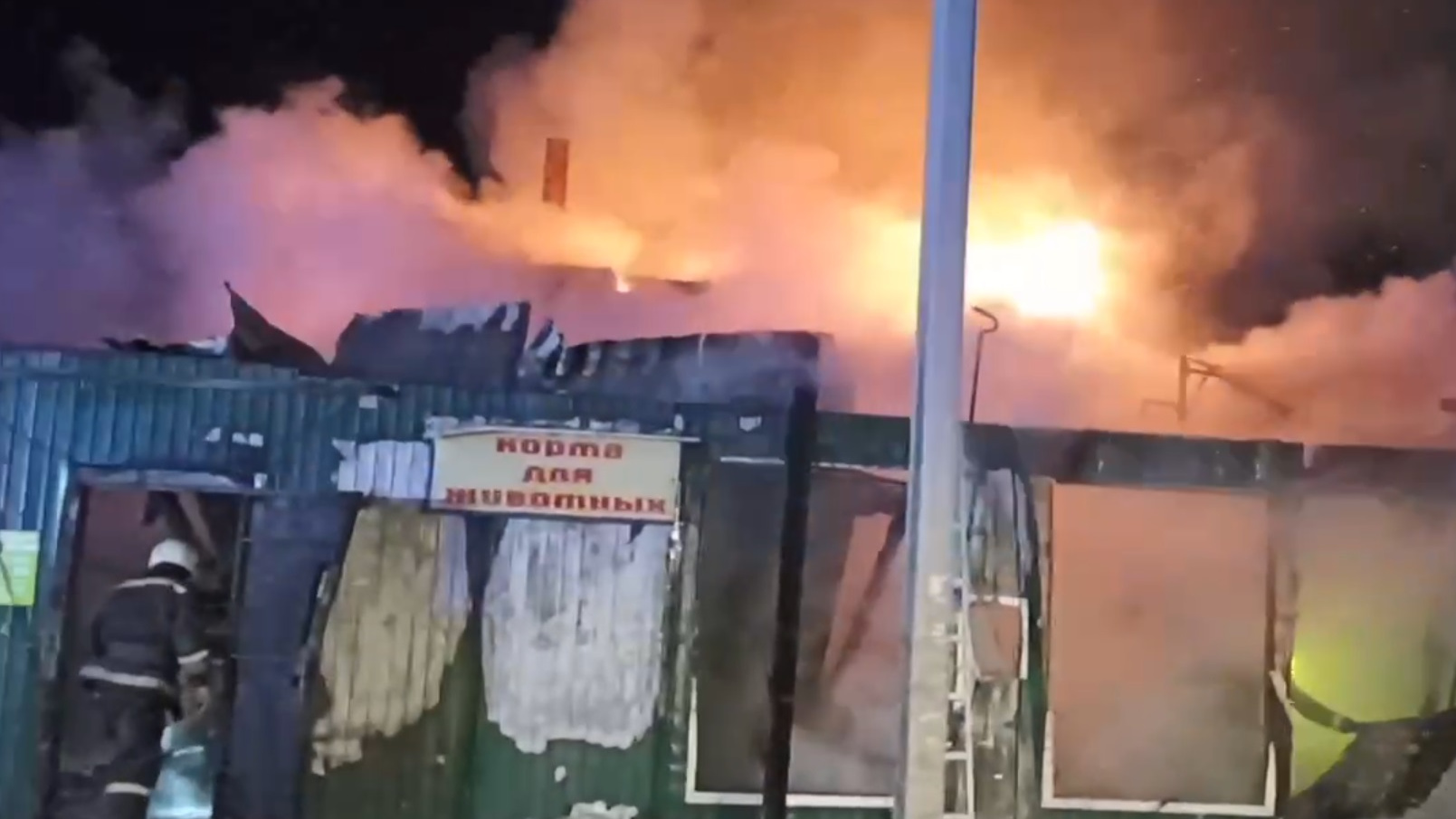 Страшный пожар и 20 погибших. Всё, что известно о сгоревшем доме престарелых в Кемерове