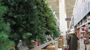 От 300 рублей за «дерево»: как выбрать искусственную елку и сколько они стоят — обзор мест в Новосибирске