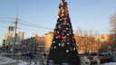 В центре Новосибирска появилась новогодняя елка