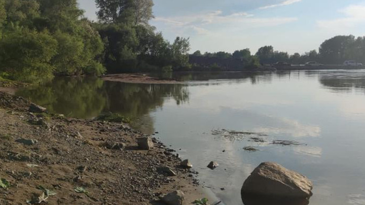 В Ачинске в реке Чулым утонул мальчик. Его тело ищут спасатели