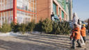 Когда дерево уже не колышет. Куда сдать новогодние елки после праздников в Челябинске