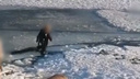 Полиция: в Тольятти на Волге четверо детей прыгали по льдинам