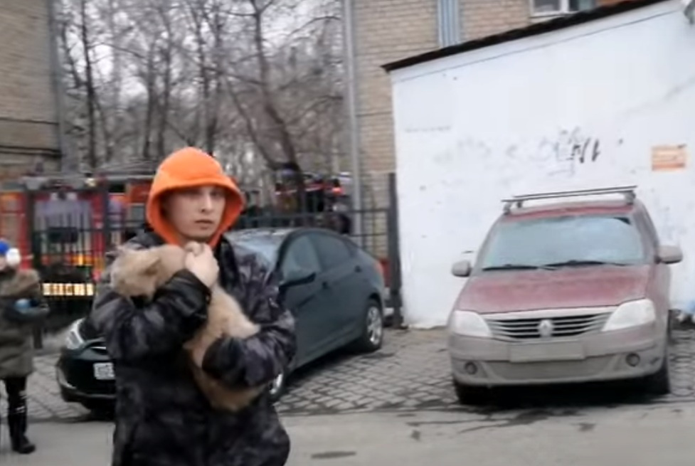 Рыжего кота тоже спасли Рыжего кота тоже спасли