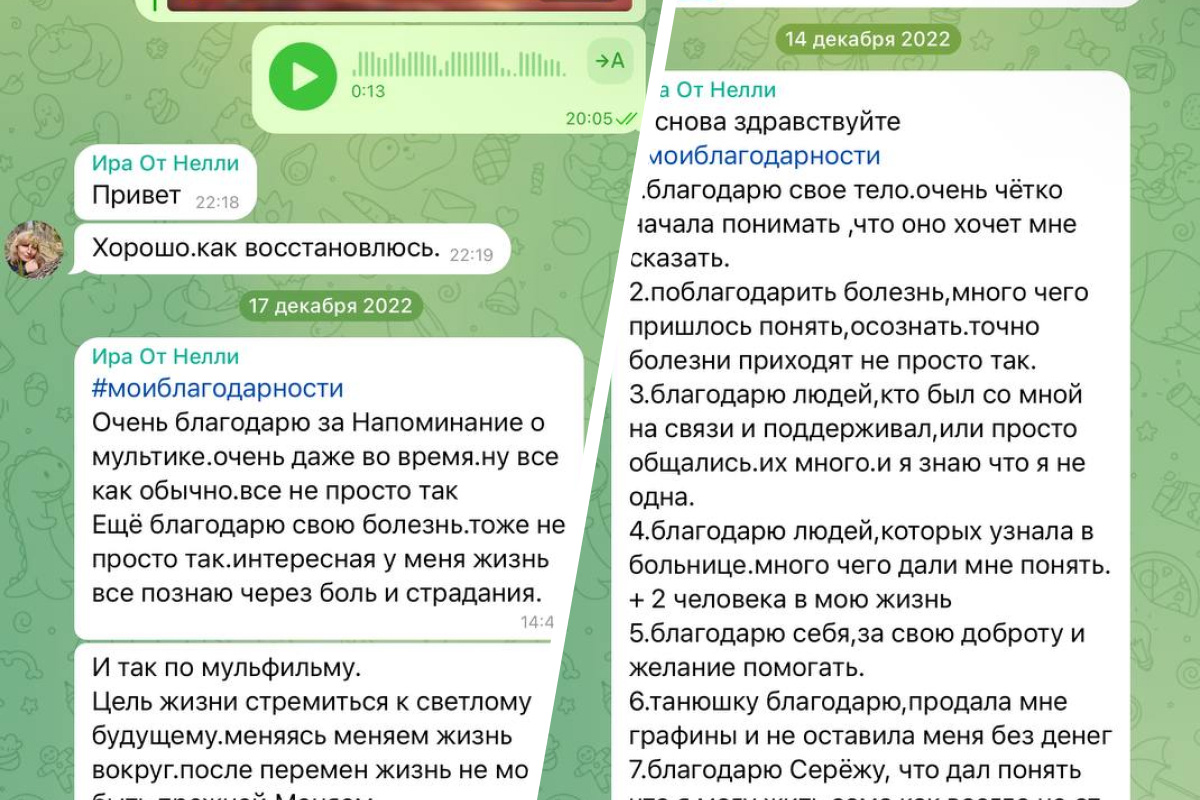 Елена Хрипунова предоставила скриншоты с примерами заданий, которые выполняла Ирина Торосян