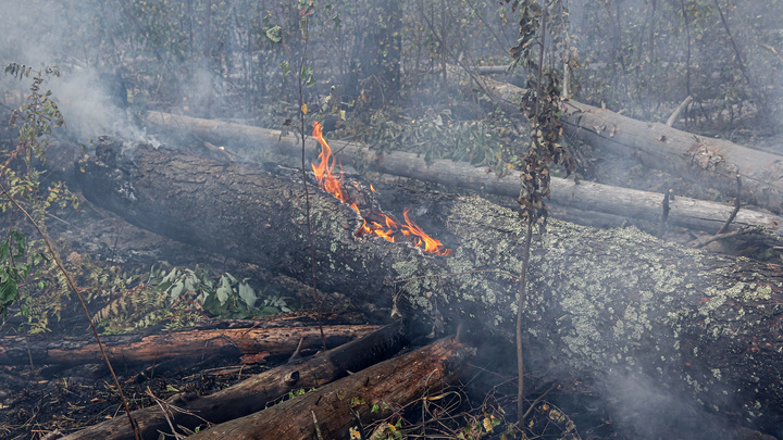 В Воротынском районе горят леса. Введен режим ЧС