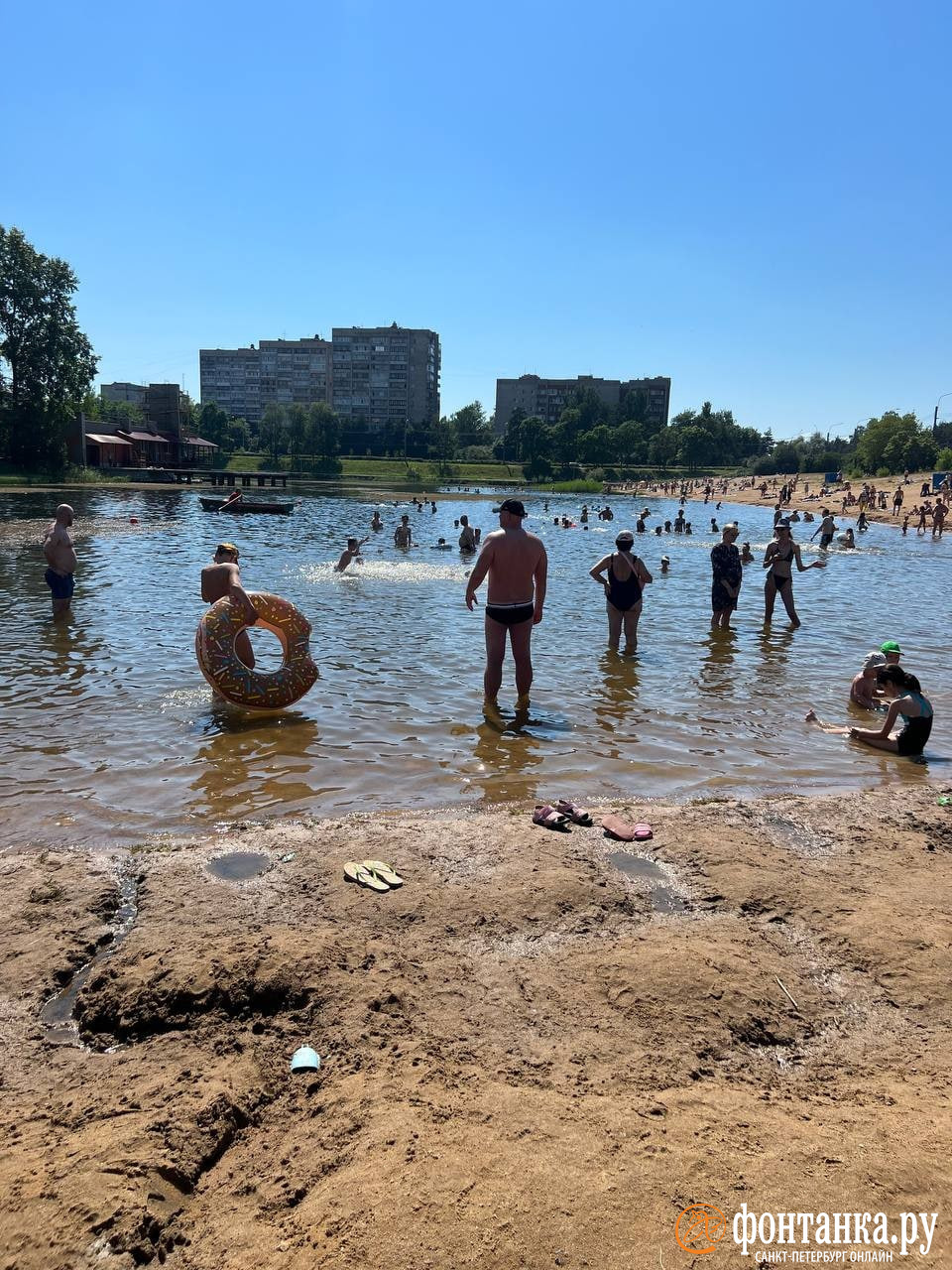 Как выглядит Ольгинский пруд — единственный разрешенный для купания водоем  в Санкт-Петербурге в 2022 году - 28 июня 2022 - ФОНТАНКА.ру