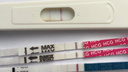 С какого срока тесты на беременность покажут результат и почему бывают ложными? Ответы гинеколога — в карточках