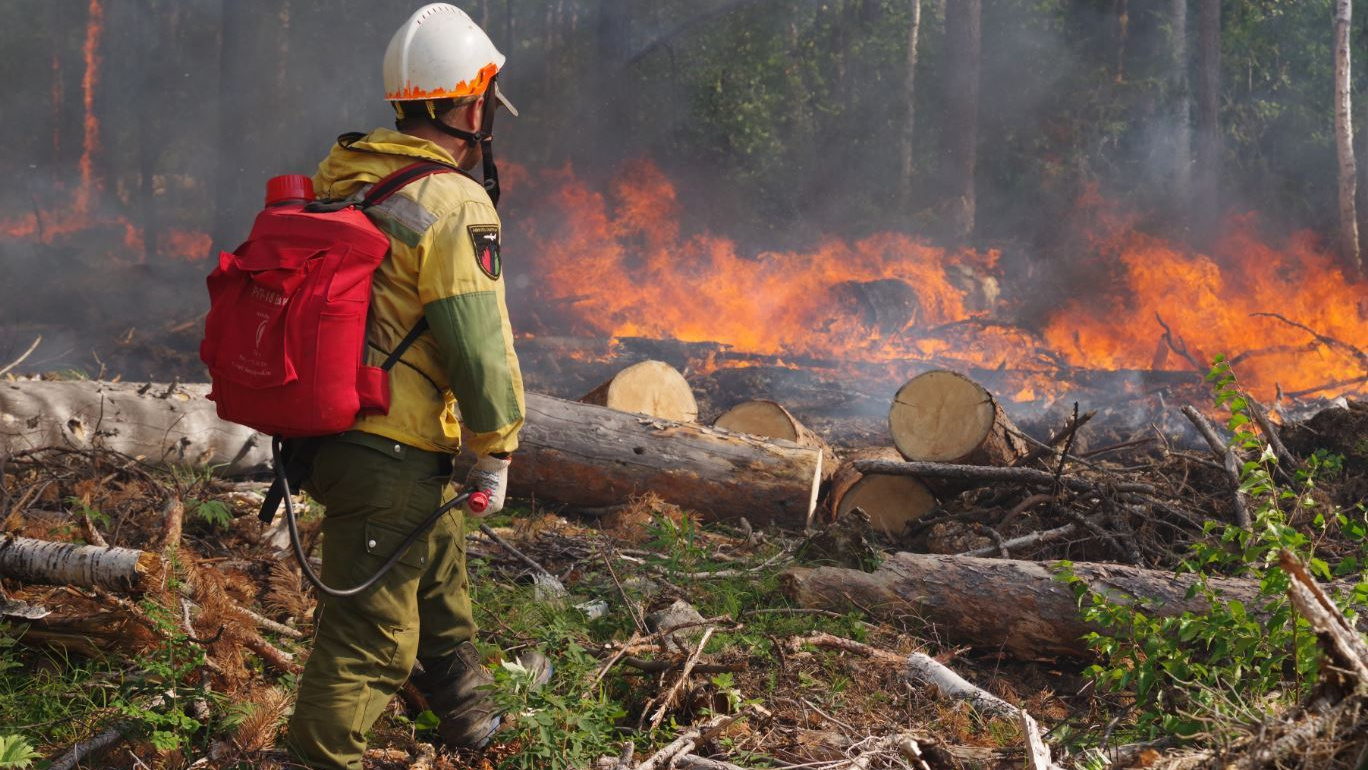 В Югре продолжает гореть лес на площади более <nobr class="_">7 тысяч</nobr> га