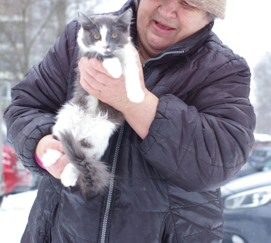 На фото Лида спасает уличного котенка На фото Лида спасает уличного котенка