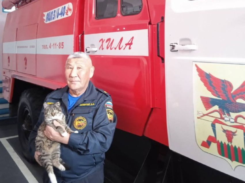Пожарные спасли сбитого машиной котенка в селе Забайкалья