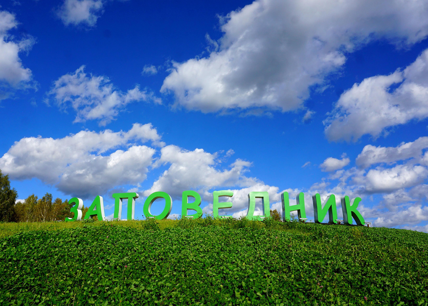 Земельный участок можно приобрести от 11 679 рублей в месяц