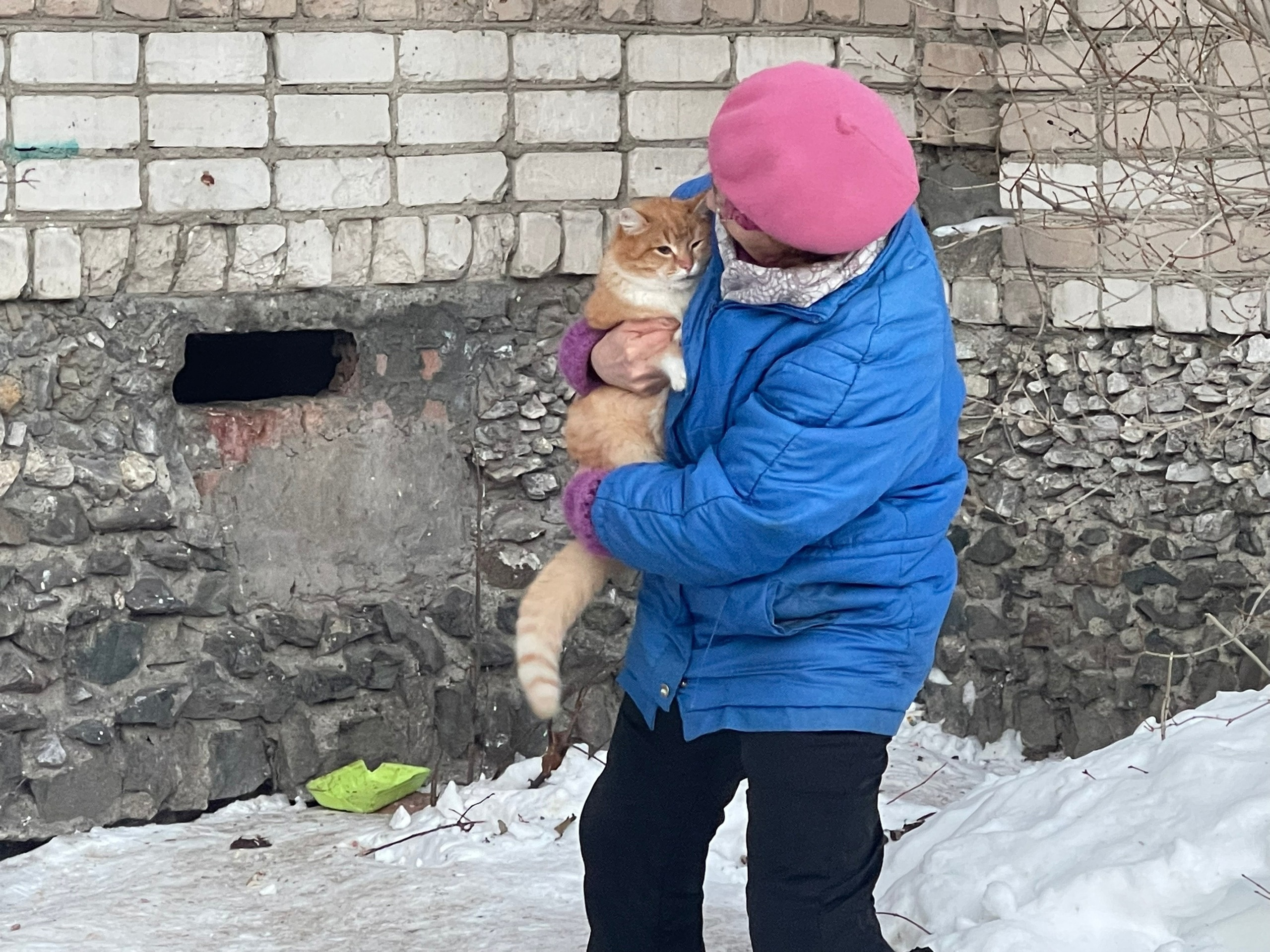 На Урале бабушка тратит почти всю пенсию, чтобы кормить кошек. Но ей постоянно подкидывают новых