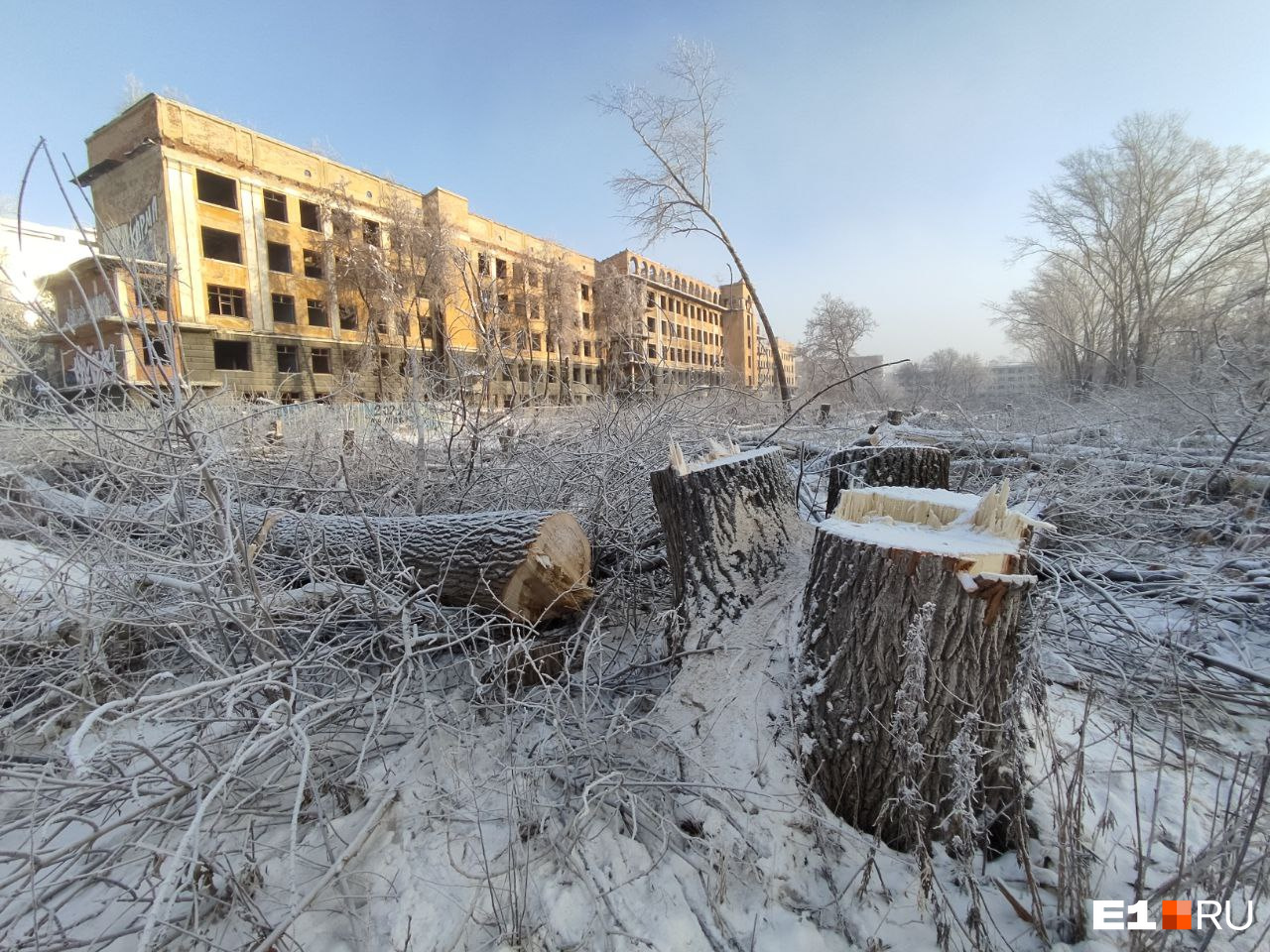 Остались ветки да пеньки: вокруг здания заброшенной больницы в Зеленой Роще вырубили все деревья