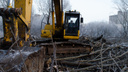 Горожан возмутил снос деревьев у Вологодского кладбища. В будущем там должны построить жилой комплекс