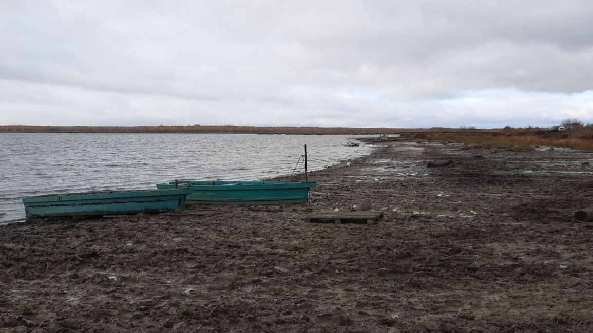 Взгляды общественников и властей на обмеление озер в Ярославской области разошлись: что дальше