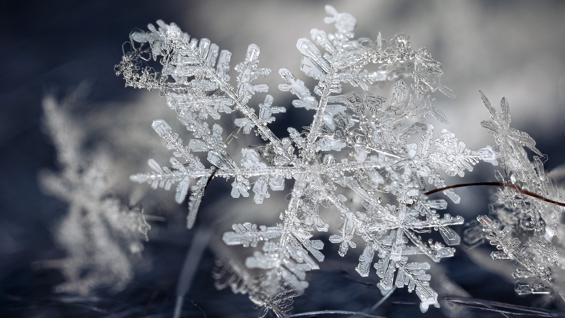 В Кузбассе ожидаются морозы до <nobr class="_">-34 градусов</nobr>: синоптики дали прогноз на январь