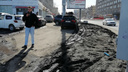 НГС раскрыл причину пыли — Новосибирск атаковали толпы истребителей газонов (смотрите где)