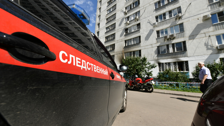 Кирпич упал на голову шестилетней девочке в Иркутске. СК и прокуратура проводят проверки