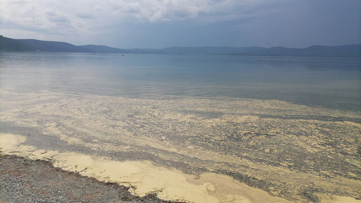 «На три метра от берега — вот такая жижа!»: отдыхающих обеспокоило состояние озера Тургояк