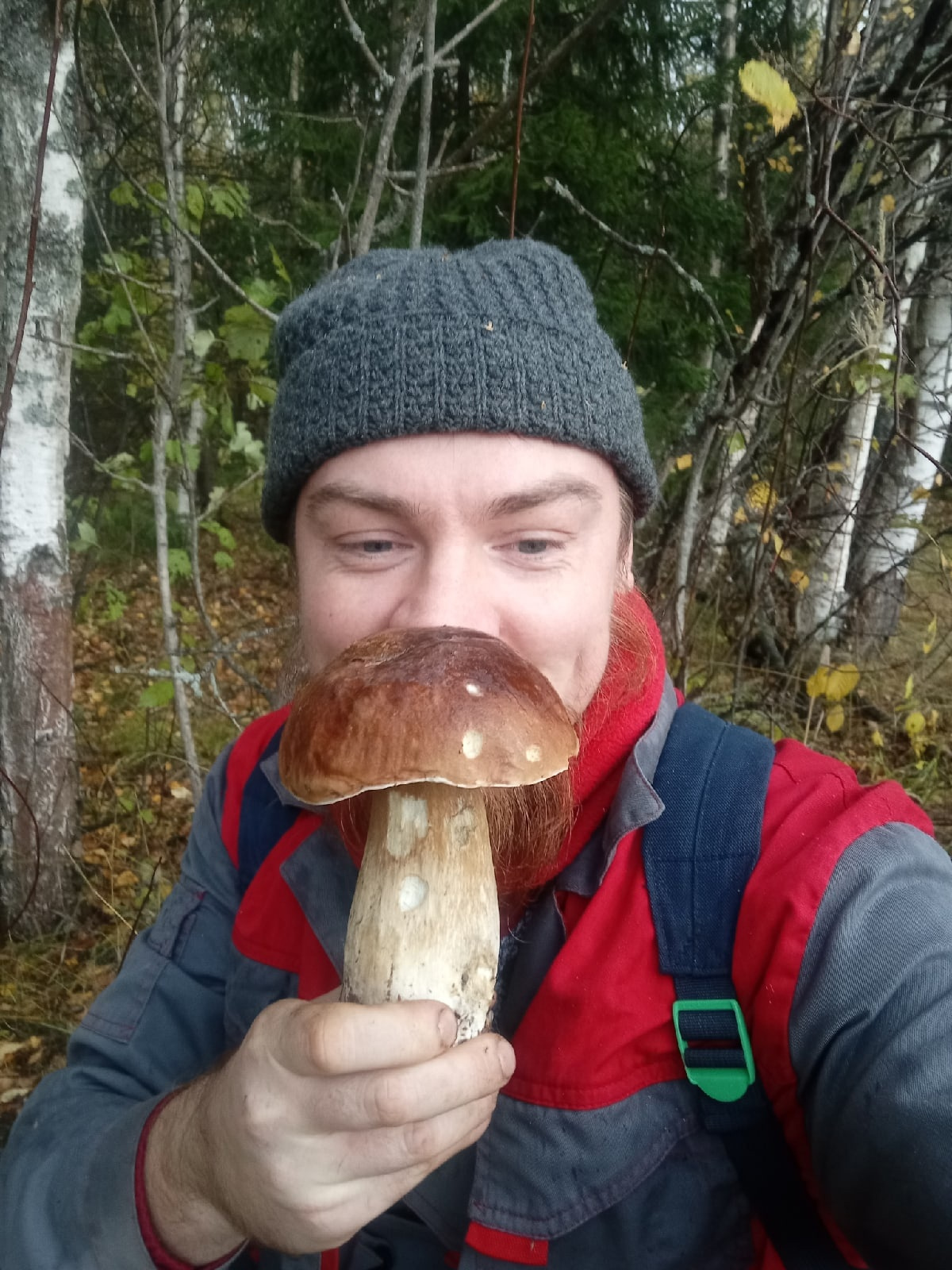 Кажется, что этот гриб больше ладони