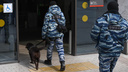 В регионах России, граничащих с Украиной, объявили «желтый» уровень террористической угрозы. Что это значит?