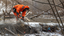 Хатку бобра разобрали на реке в Новосибирске — 10 кадров, на которых спасатели орудуют бензопилой