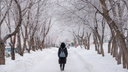 По области до -31 градуса: как долго в Новосибирске задержатся морозы — прогноз синоптиков