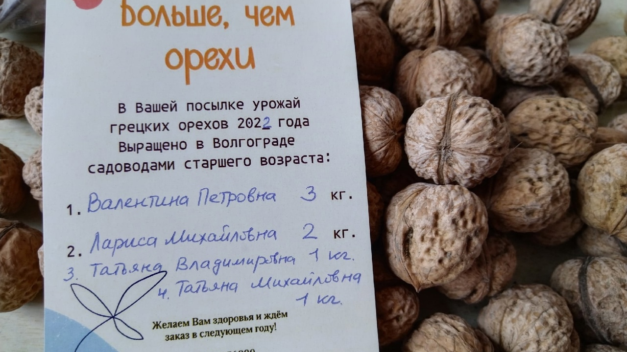 «Это добро, а не еда»: в Волгограде решили спасти пенсионеров от запасов грецких орехов