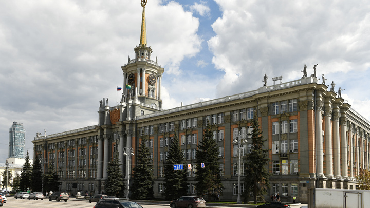 Возле мэрии Екатеринбурга спилят ели, которые росли там последние 30 лет