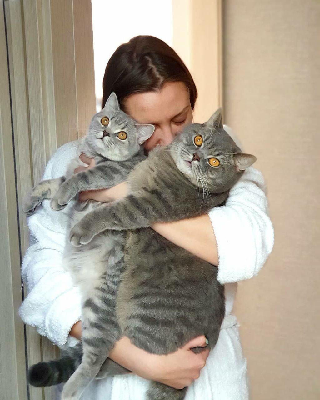 Закадычные друзья — кошечка Элис и котик Феликс Закадычные друзья — кошечка Элис и котик Феликс