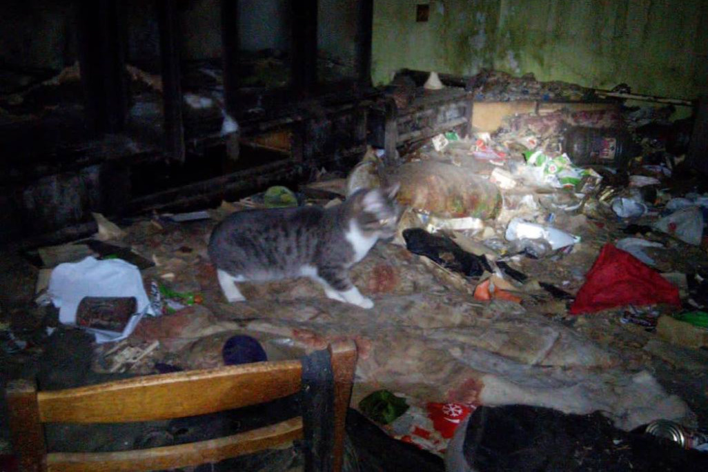 В Екатеринбурге животных бросили в заваленной мусором квартире,  зооспасатель Евгений Зенков - 24 мая 2022 - Е1.ру
