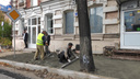Власти оштрафовали подрядчика, повредившего деревья на Большой Покровской, на 10 тыс. рублей