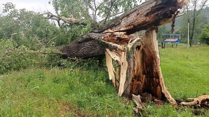 Ураган повалил деревья и оставил жителей Челябинской области без электричества