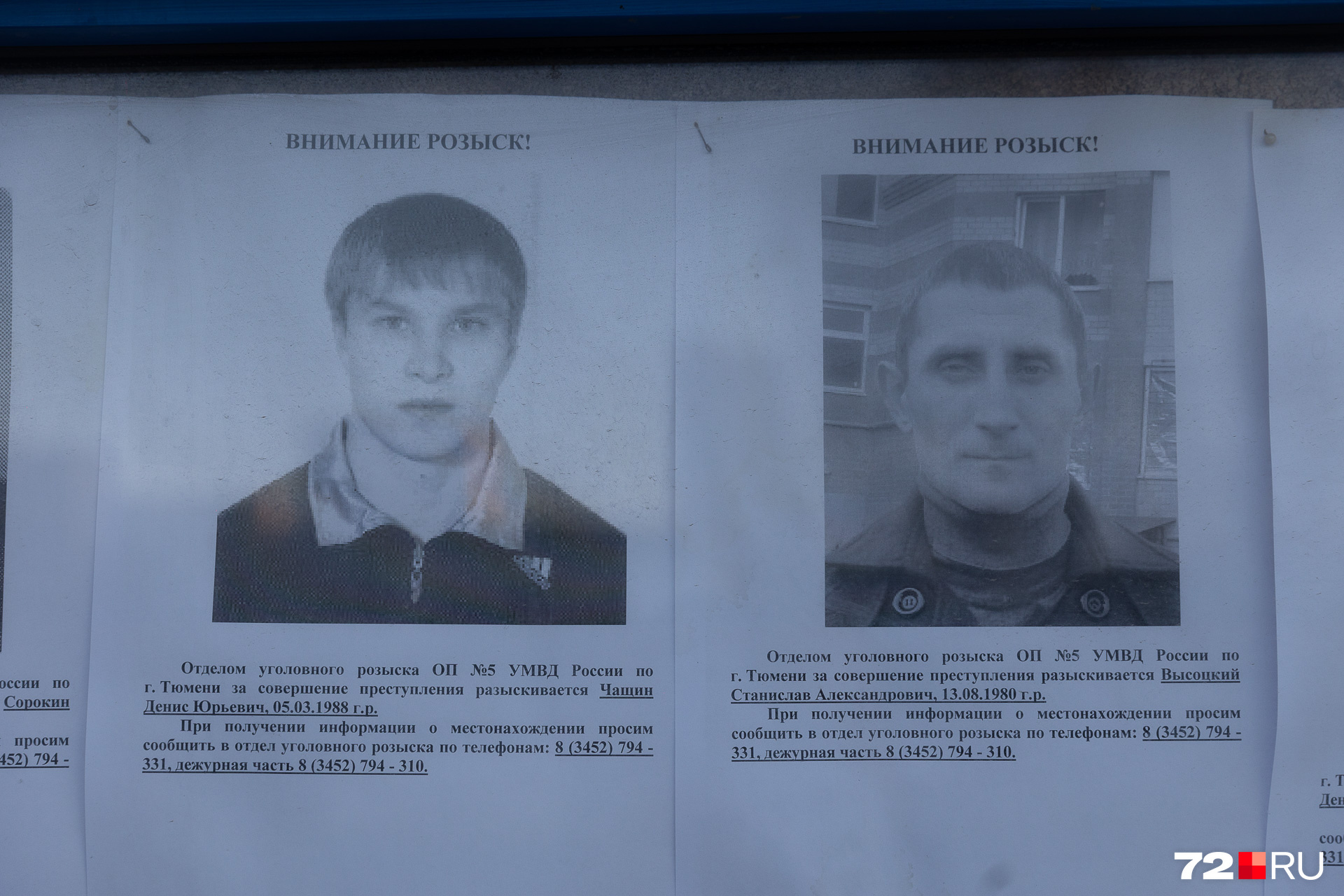 Уголовный розыск ищет также Чащина Дениса Юрьевича и Высоцкого Станислава Александровича