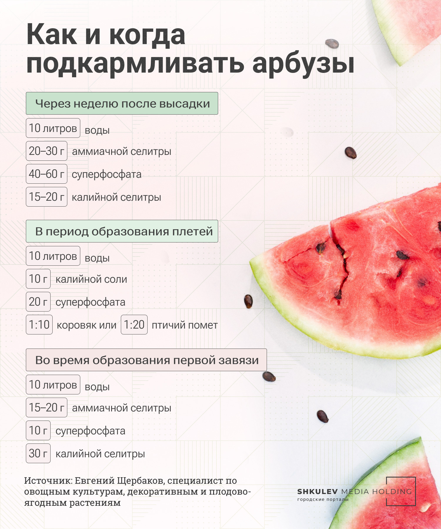 Вкусные дыни и арбузы своими руками: как вырастить бахчу в огороде - 16июня 2022 - 29.ru