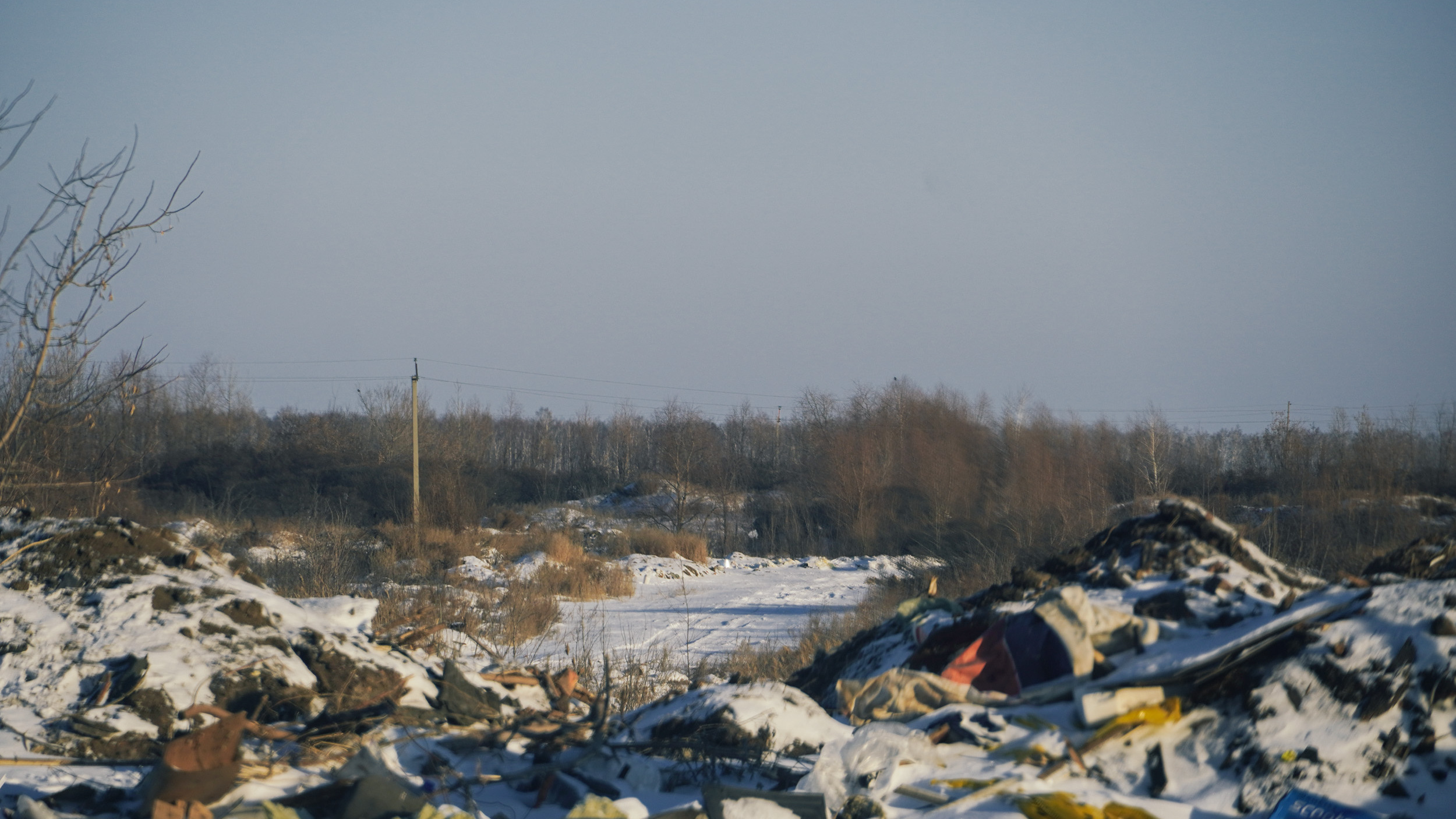 Острова Архангельска заросли мусором: чтобы убрать свалки, нужно больше миллиарда рублей
