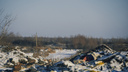 Острова Архангельска заросли мусором: чтобы убрать свалки, нужно больше миллиарда рублей