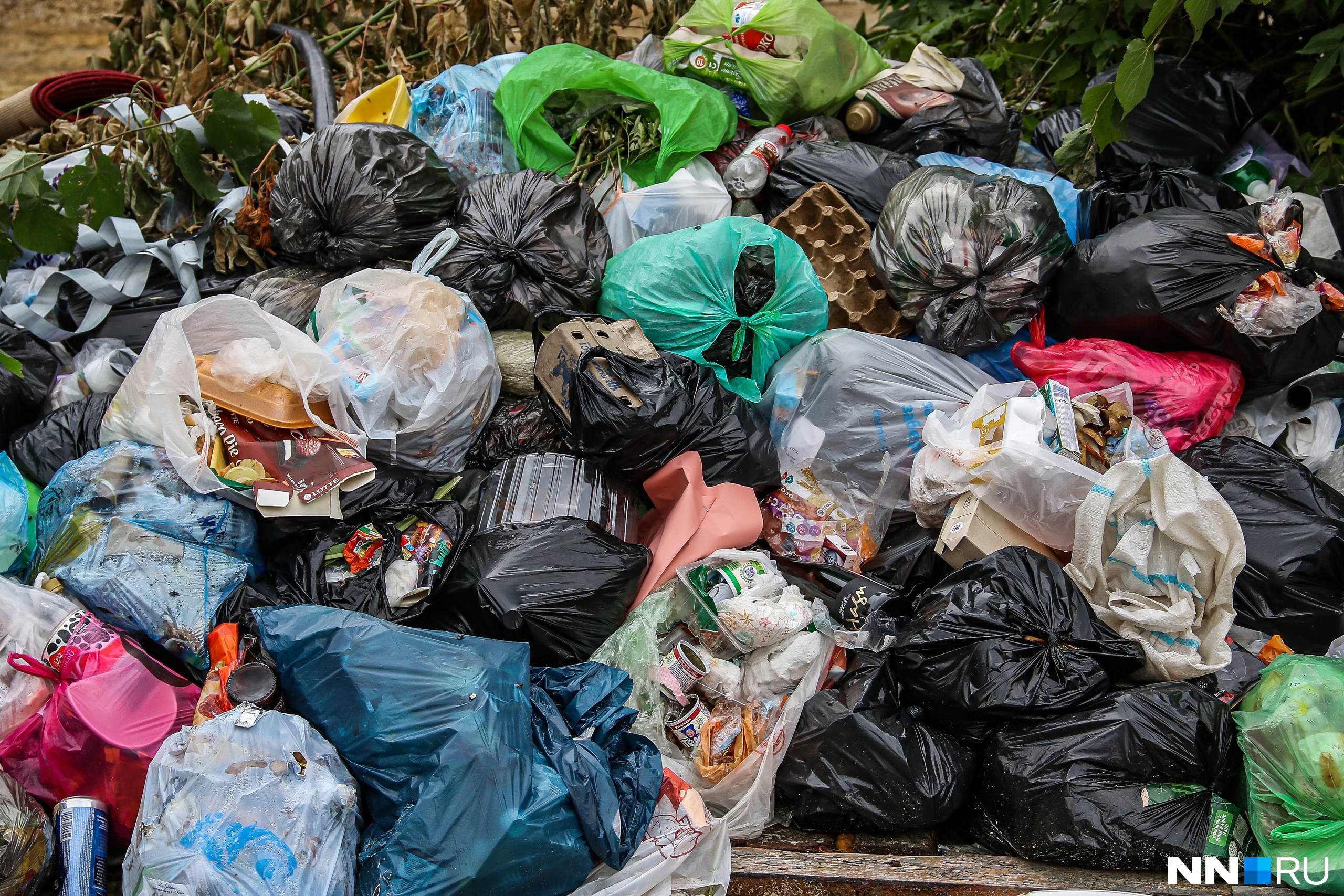 Мэр Заволжья отказал экоактивисту в вывозе мусора с берега Волги, сославшись на «значительные траты»