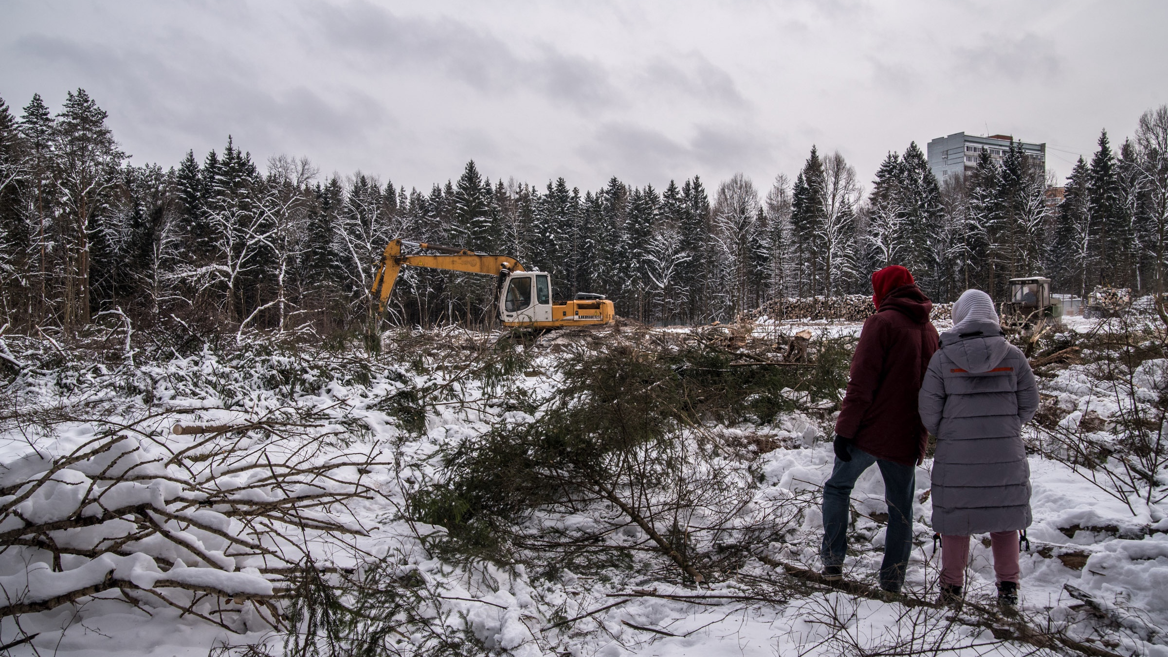 На юго-западе Москвы уничтожают заповедный лес. На его месте хотят построить самую большую в России школу