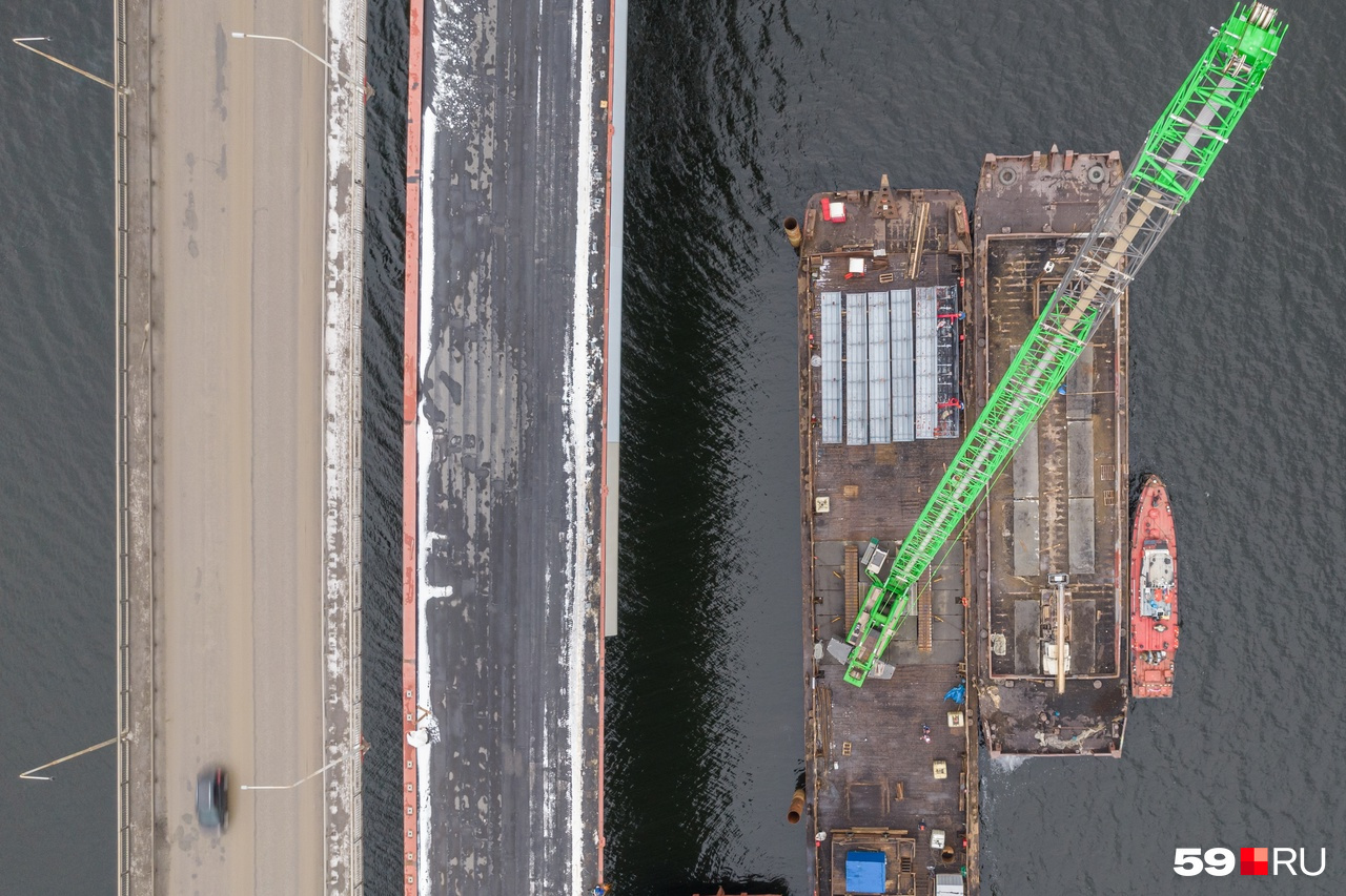 я пошла кадрить подушку. ус уходит. уйду я от вас. ус уходит. боксерки усика.