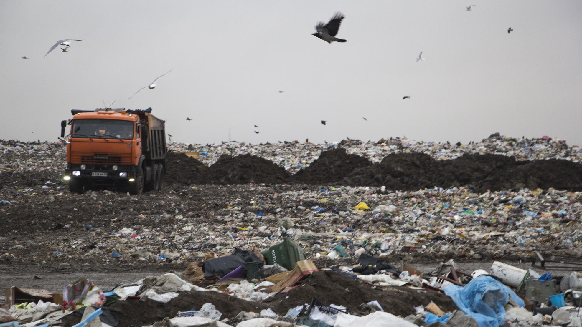 7 мусорных полигонов в Поморье: где они будут